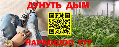 крисы Краснодар