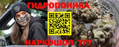 крисы Краснодар