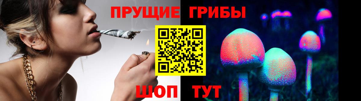 Псилоцибиновые грибы MAGIC MUSHROOMS Учалы